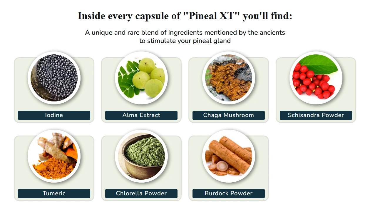 Pineal XT Checkout